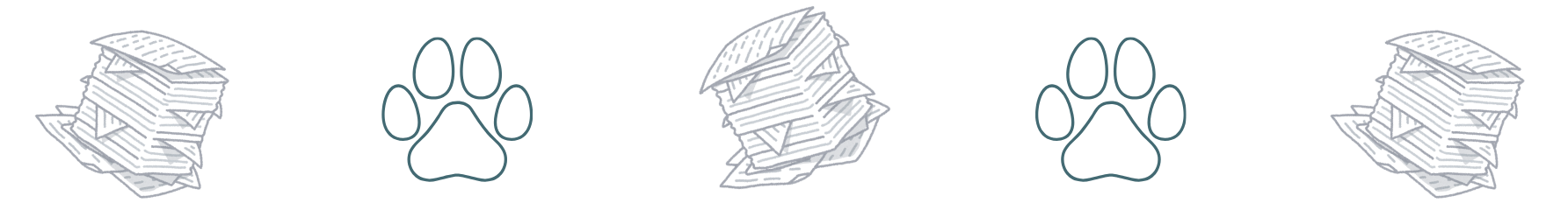 pet insurance helps cover veterinary care for cats and dogs at Pioneer Veterinary Tillamook OR