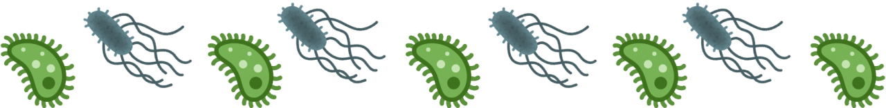 Illustrated parasites that can affect companion animal and large animals