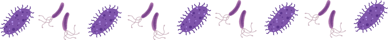 Microscopic parasites, showing the importance of parasite education from Pioneer Veterinary in Tillamook, OR