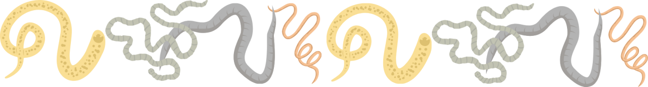 Intestinal worms representing animal parasites in Tillamook, OR