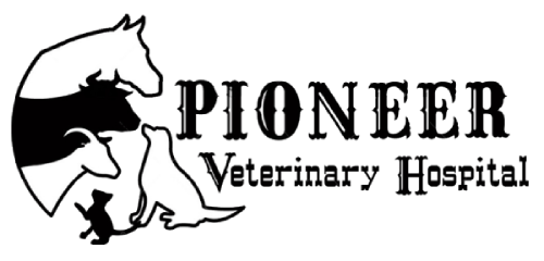 Pioneer Veterinary Hospital