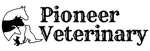 Pioneer Veterinary