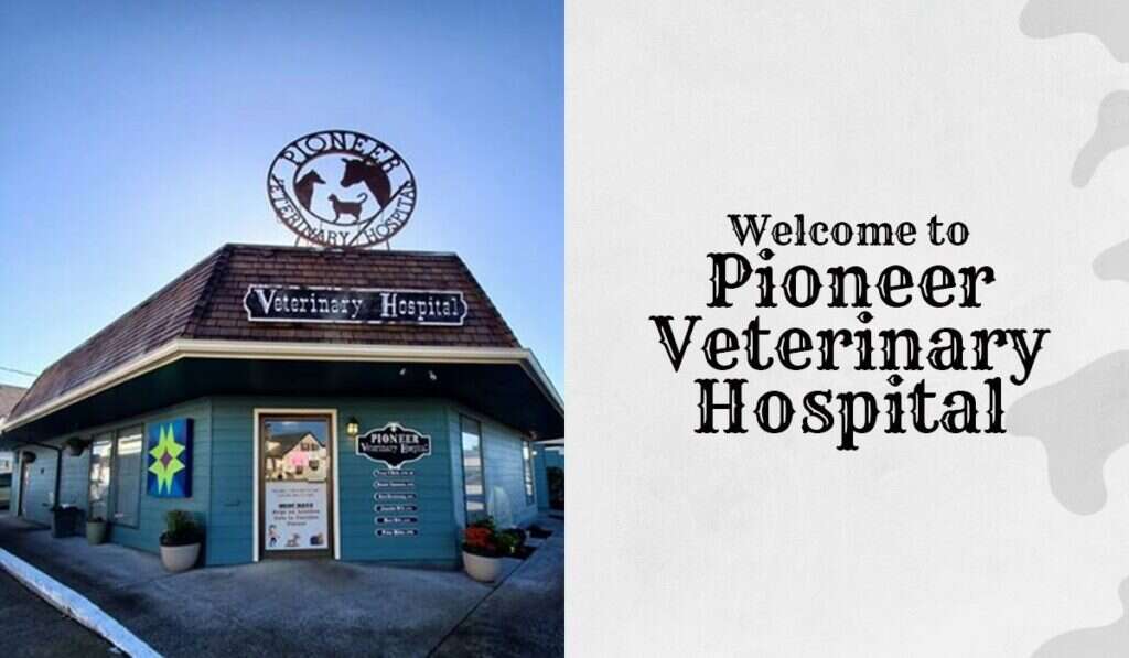 A quaint veterinary hospital with a wooden exterior, sign, and logo depicting an animal silhouette on the roof.