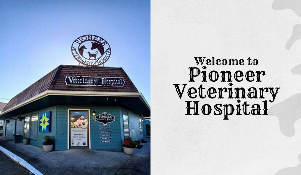 A quaint veterinary hospital with a wooden exterior, sign, and logo depicting an animal silhouette on the roof.