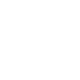 A dog sitting on a bench with a streetlight behind it.