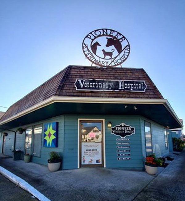 A blue veterinary hospital building with signs and decorative plants outside.