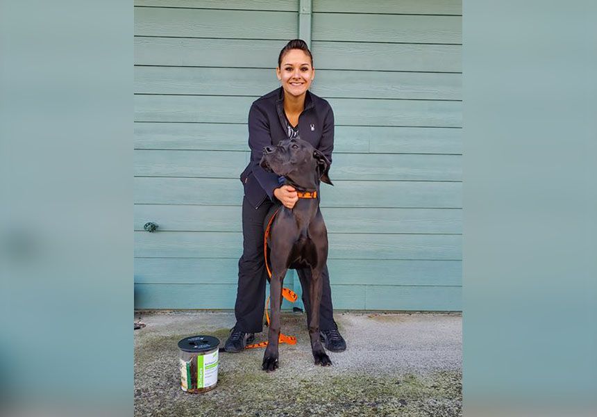 Person smiling while holding a large black dog with an orange collar in front of a blue wall.