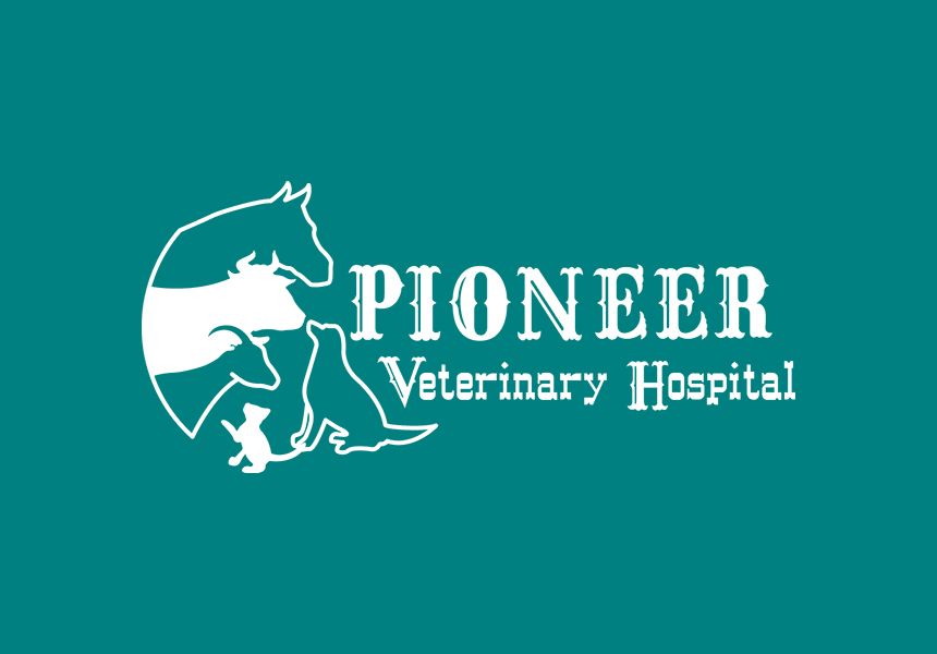 Silhouettes of horse, cow, dog, cat, and chicken with "Pioneer Veterinary Hospital" text.